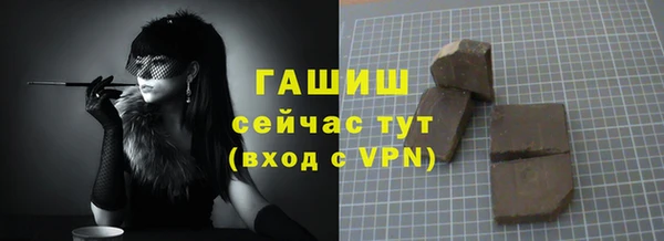 сатива Новозыбков