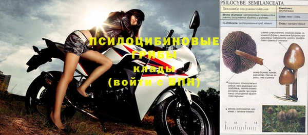 винт Няндома