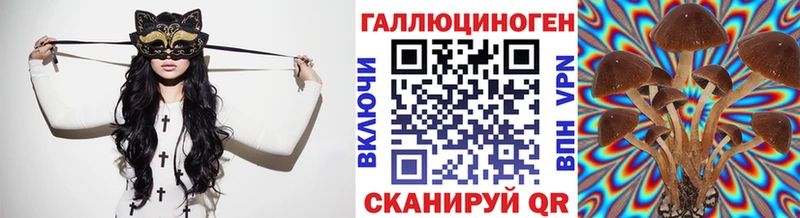 KRAKEN сайт  Оленегорск  Галлюциногенные грибы прущие грибы 